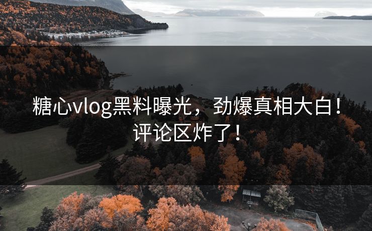 糖心vlog黑料曝光，劲爆真相大白！评论区炸了！