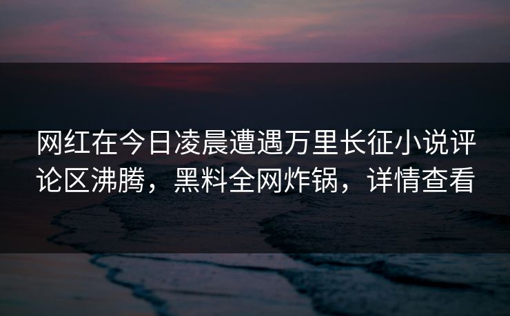 网红在今日凌晨遭遇万里长征小说评论区沸腾，黑料全网炸锅，详情查看