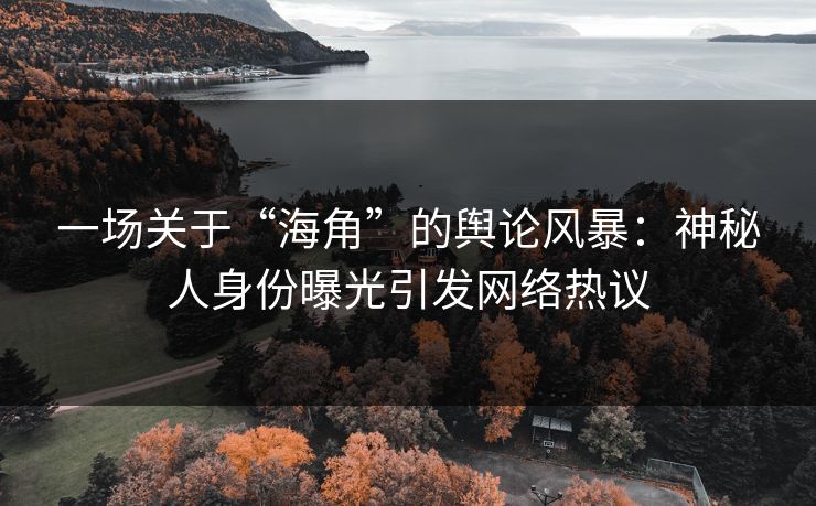 一场关于“海角”的舆论风暴：神秘人身份曝光引发网络热议