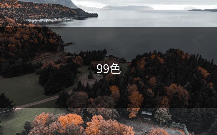 99色