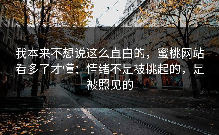 我本来不想说这么直白的,蜜桃网站看多了才懂:情绪不是被挑起的,是被照见的 我本来不想说这么直白的,蜜桃网站看多了才懂:情绪不是被挑起的,是被照见的